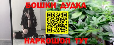 сатива Шахты