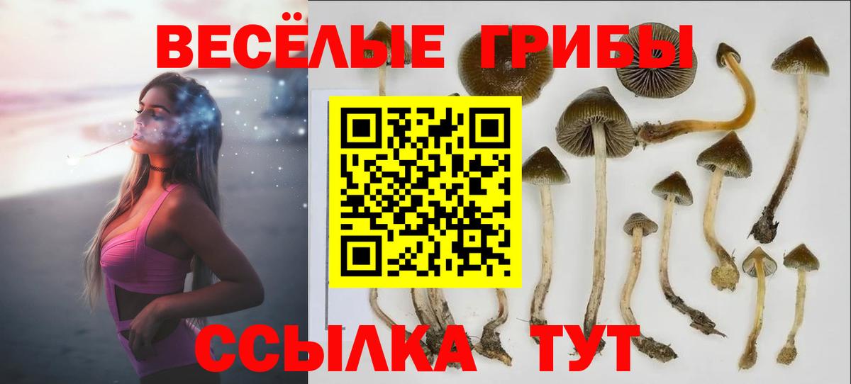 Галлюциногенные грибы GOLDEN TEACHER  Вход с VPN  Алатырь  купить наркотик  Галлюциногенные грибы мухоморы 